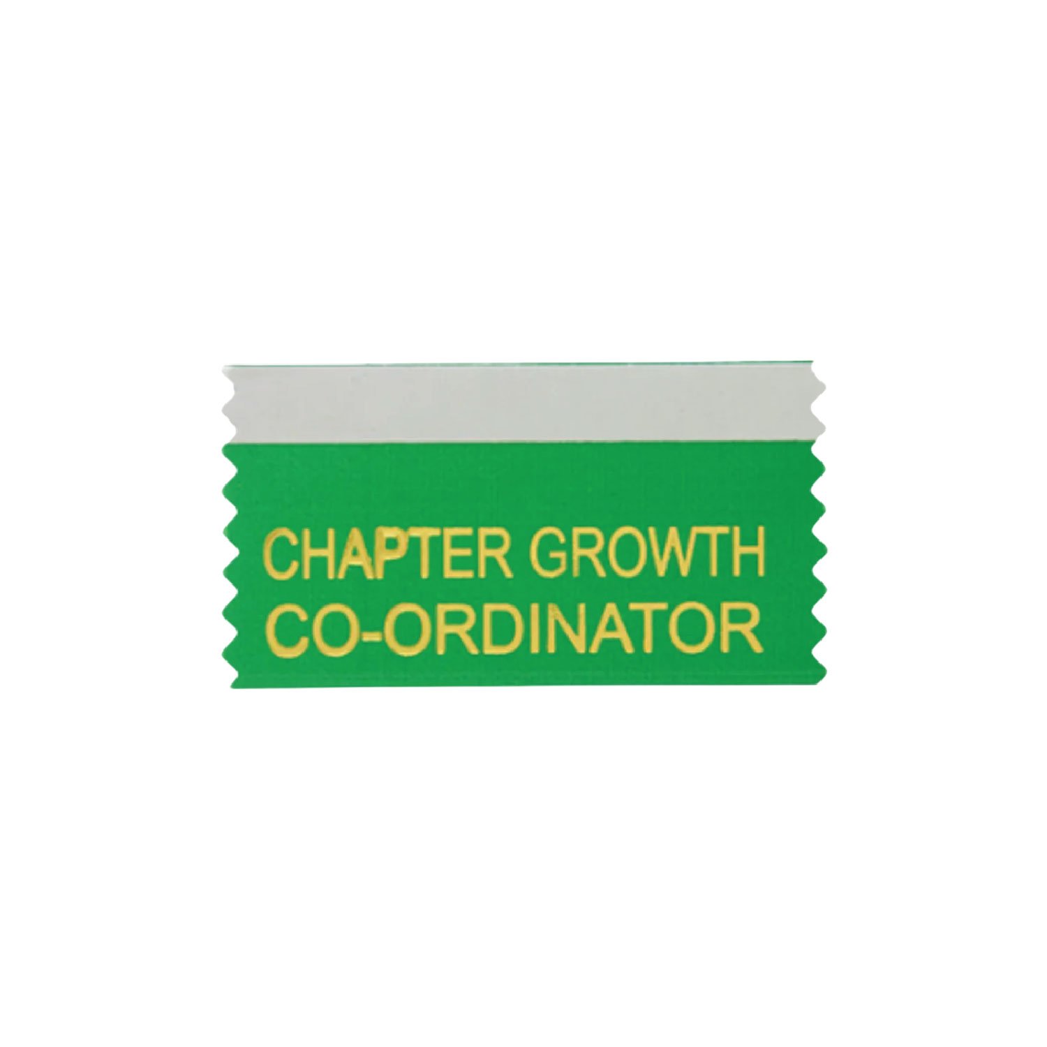 Chapter  growth Co-Ordinator (Pack Of 10)
