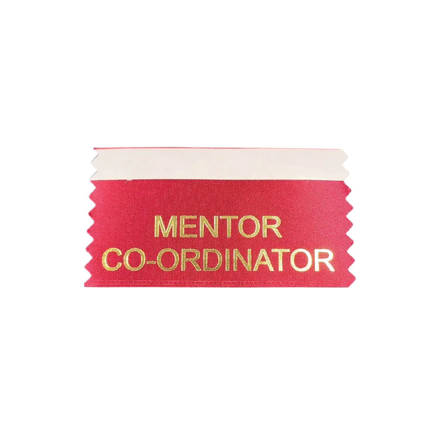 Mentor Co-Ordinator(Pack Of 10)