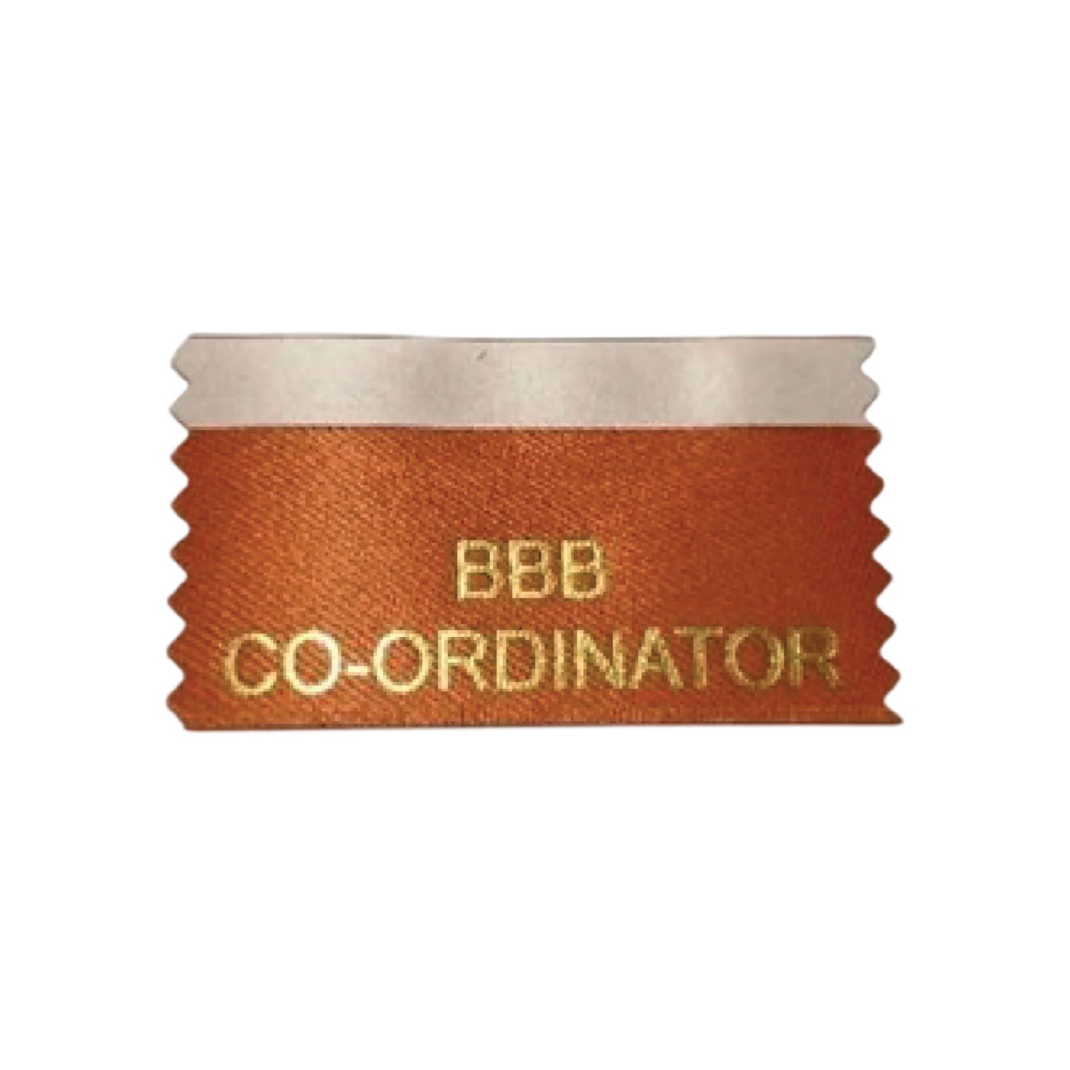 BBB Co-Ordinator (Pack of 10)