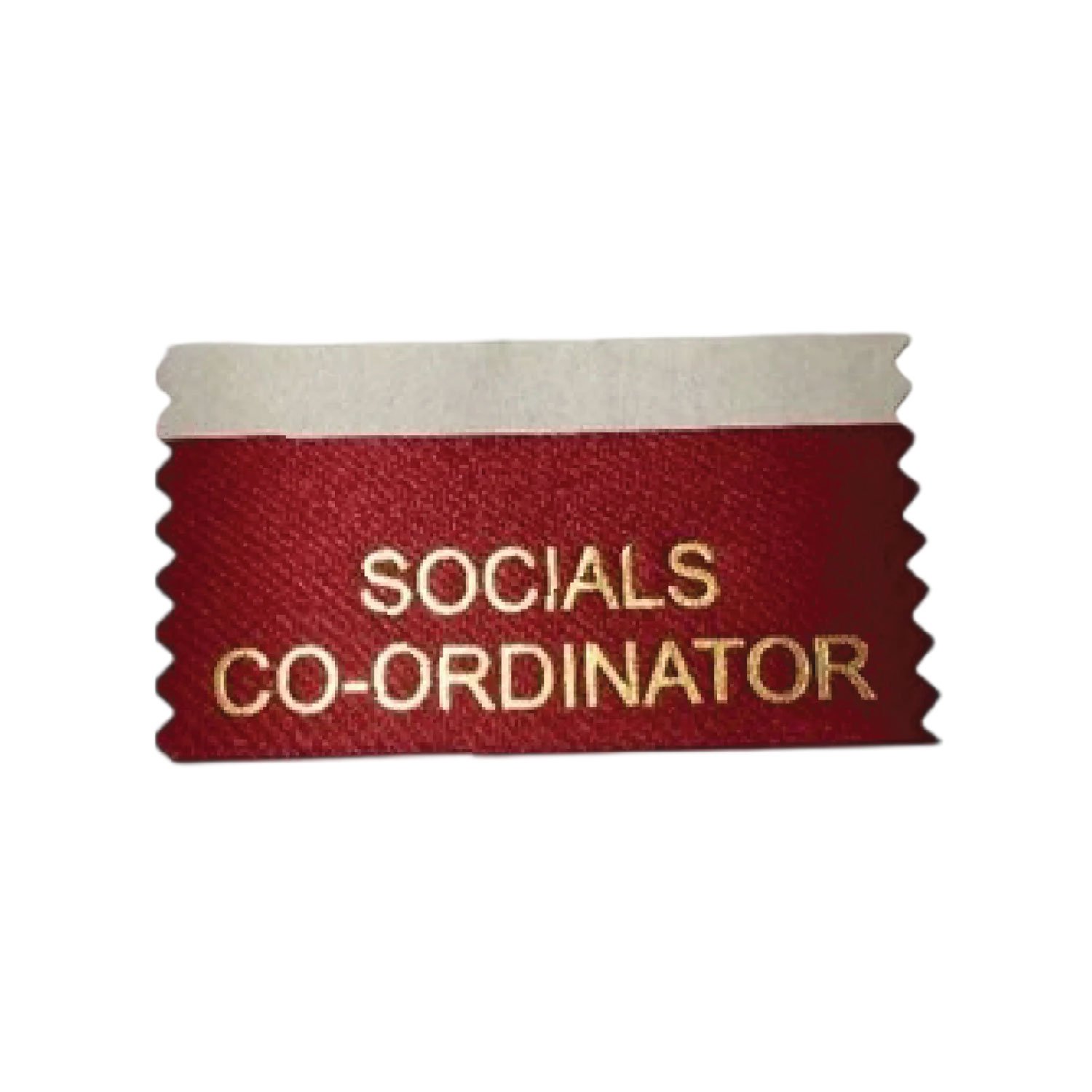 Socials Co-Ordinator (Pack of 10)