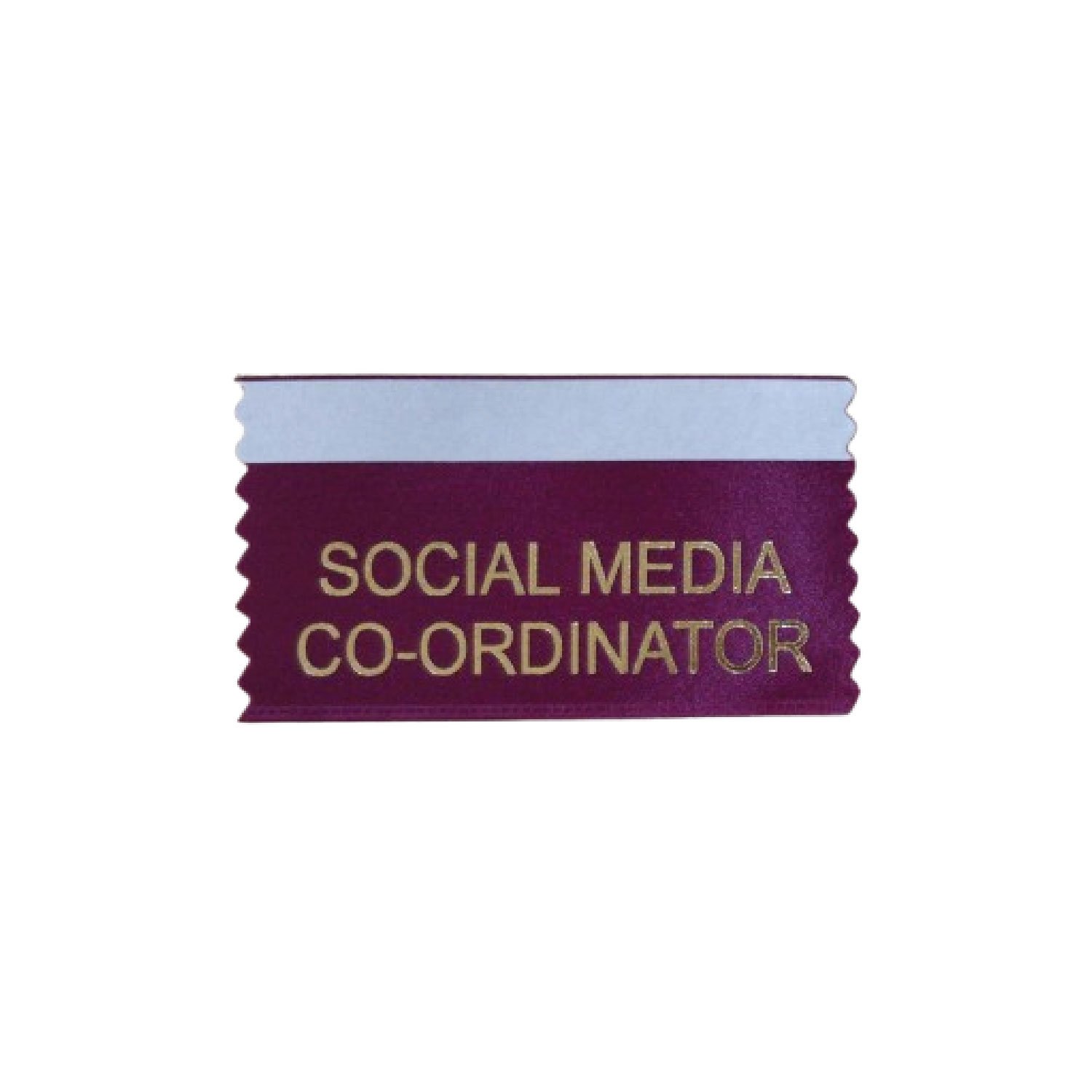 Socials Media Co-Ordinator (Pack of 10)